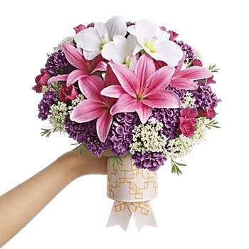 Orchid Bloom Cascade