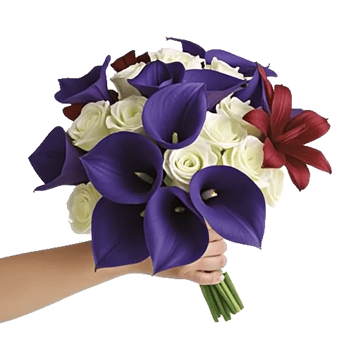 Elegant Calla Lilies