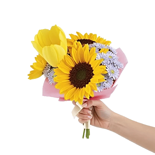 Blossom Harmony Display