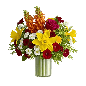 Petal Radiance Bliss