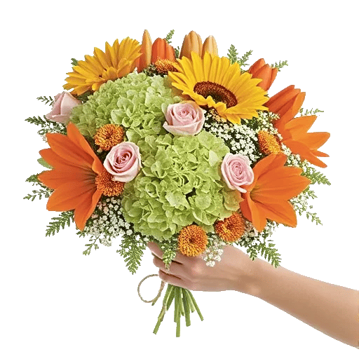 Serene Petal Harmony