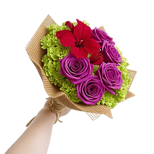 Crimson Rose Elegance