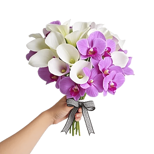 Elegant Calla Lilies