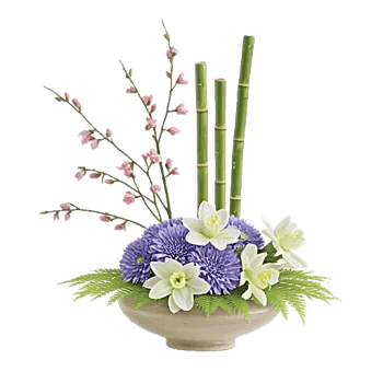 Ivory Blossom Radiance