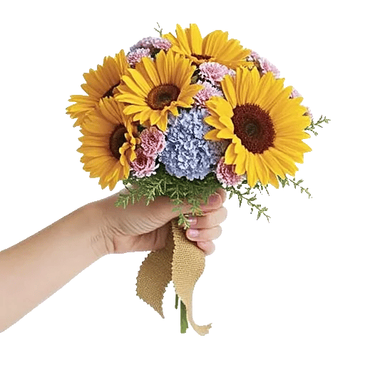 Amber Sunflower Glow