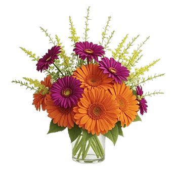 Vibrant Orange Delight