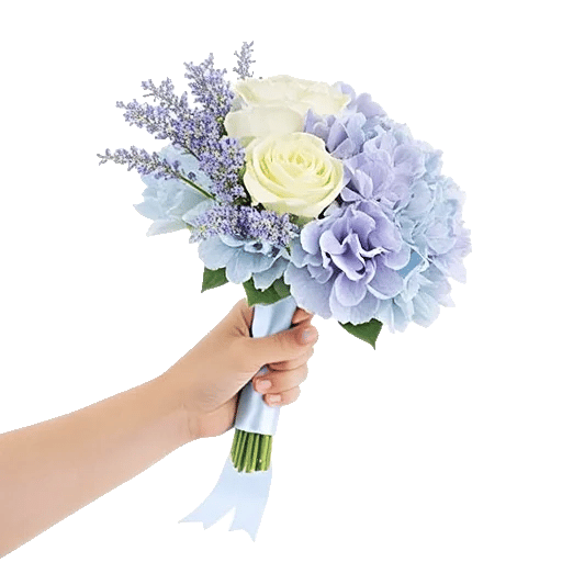 Serene Petal Harmony