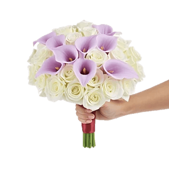 Elegant Calla Lilies