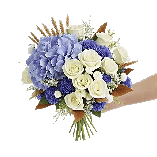 Serene Petal Harmony