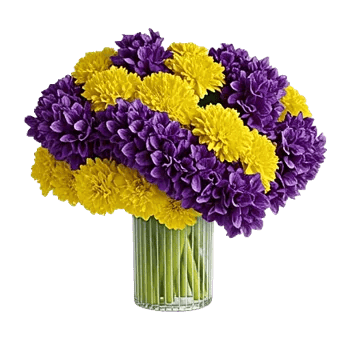 Petal Radiance Bliss