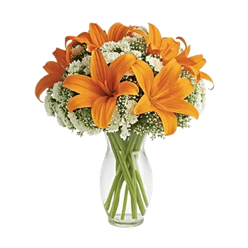 Ivory Blossom Radiance