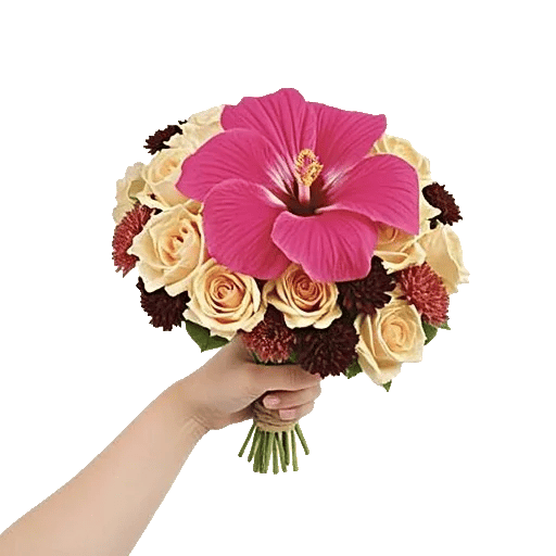 Blushing Rose Symphony