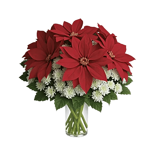 Crimson Blossom Harmony