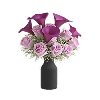 Elegant Calla Lilies