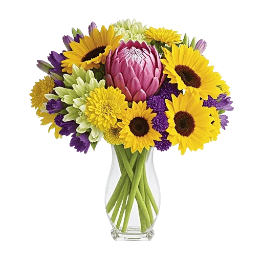 Ivory Blossom Radiance