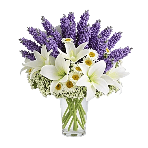 Lavender Bloom Grace