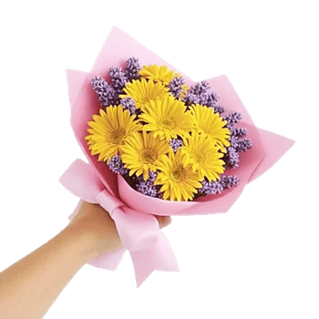 Blossom Harmony Display