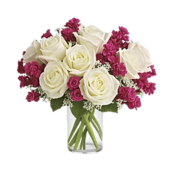 Radiant Rose Symphony