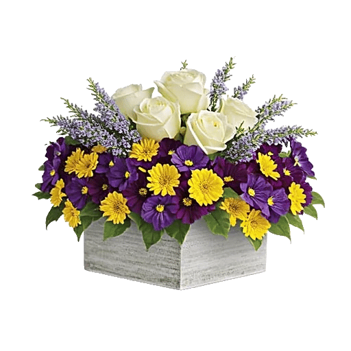 Delicate Petal Cascade