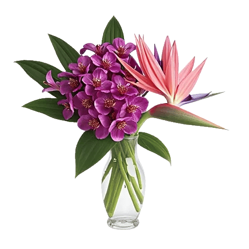 Orchid Bloom Cascade