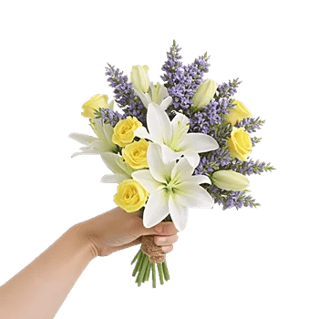 Ivory Garden Grace