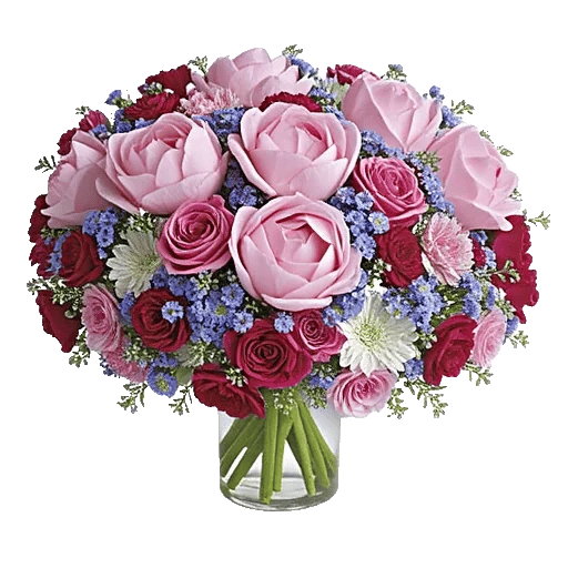 Petal Radiance Bliss