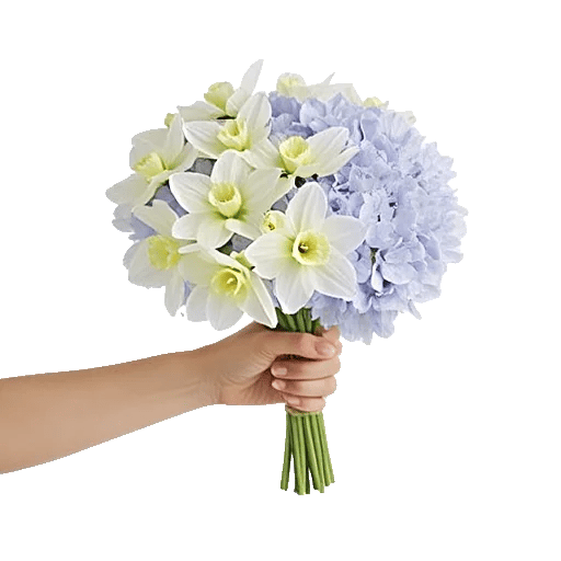 Serene Petal Harmony