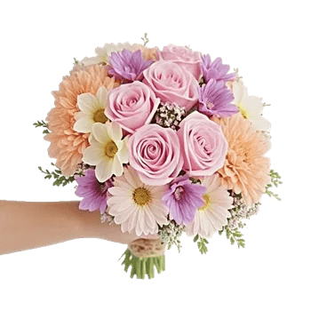 Pastel Pink Roses