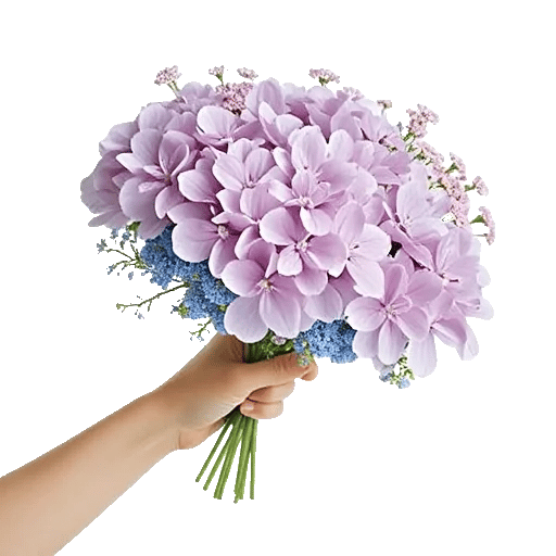 Serene Petal Harmony