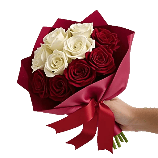 Radiant Rose Symphony