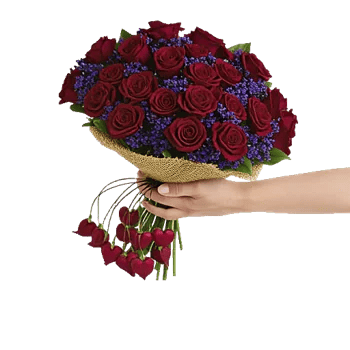 Crimson Rose Elegance