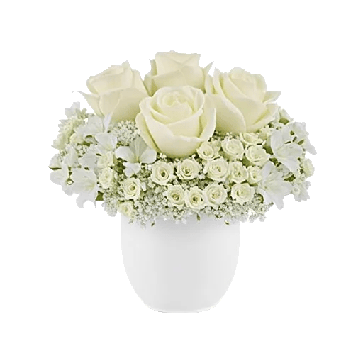 Minimalist White Orchids