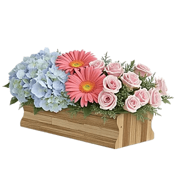 Serene Petal Harmony