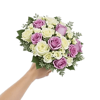 Blushing Rose Symphony