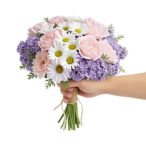 Pastel Blossom Grace