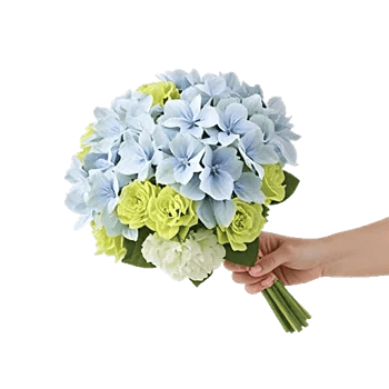 Serene Petal Harmony