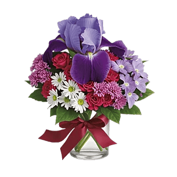 Ivory Blossom Radiance