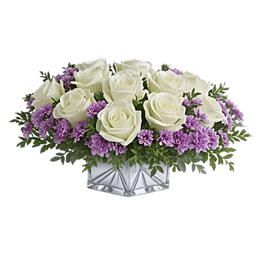 Radiant Rose Symphony