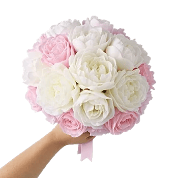 Peony Petal Harmony