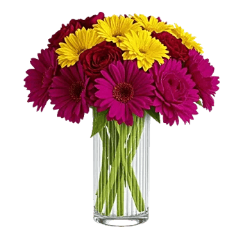 Petal Radiance Bliss
