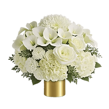 Elegant Calla Lilies