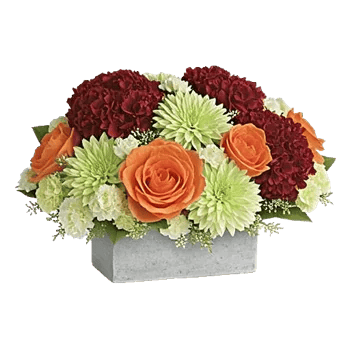 Petal Radiance Bliss
