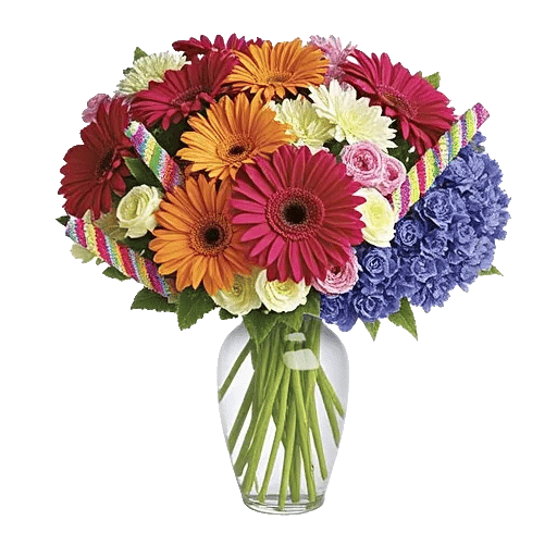 Petal Radiance Bliss
