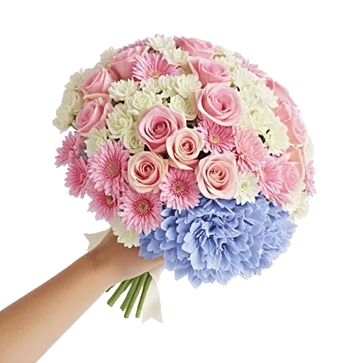 Blushing Rose Symphony