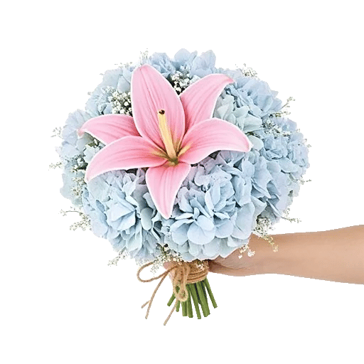 Blooming Serenity Display