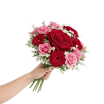 Crimson Rose Elegance