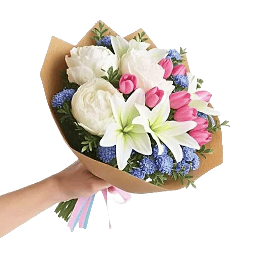 Peony Petal Harmony
