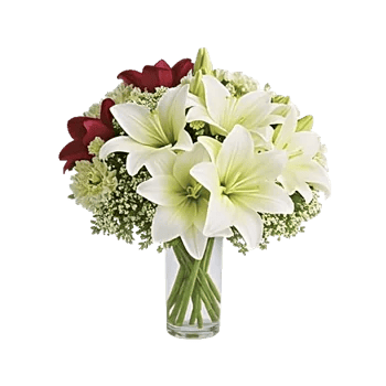 Serene Lily Cascade