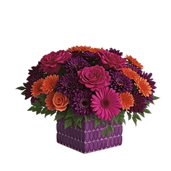 Petal Radiance Bliss