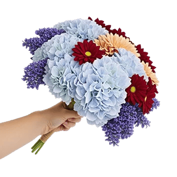 Serene Petal Harmony